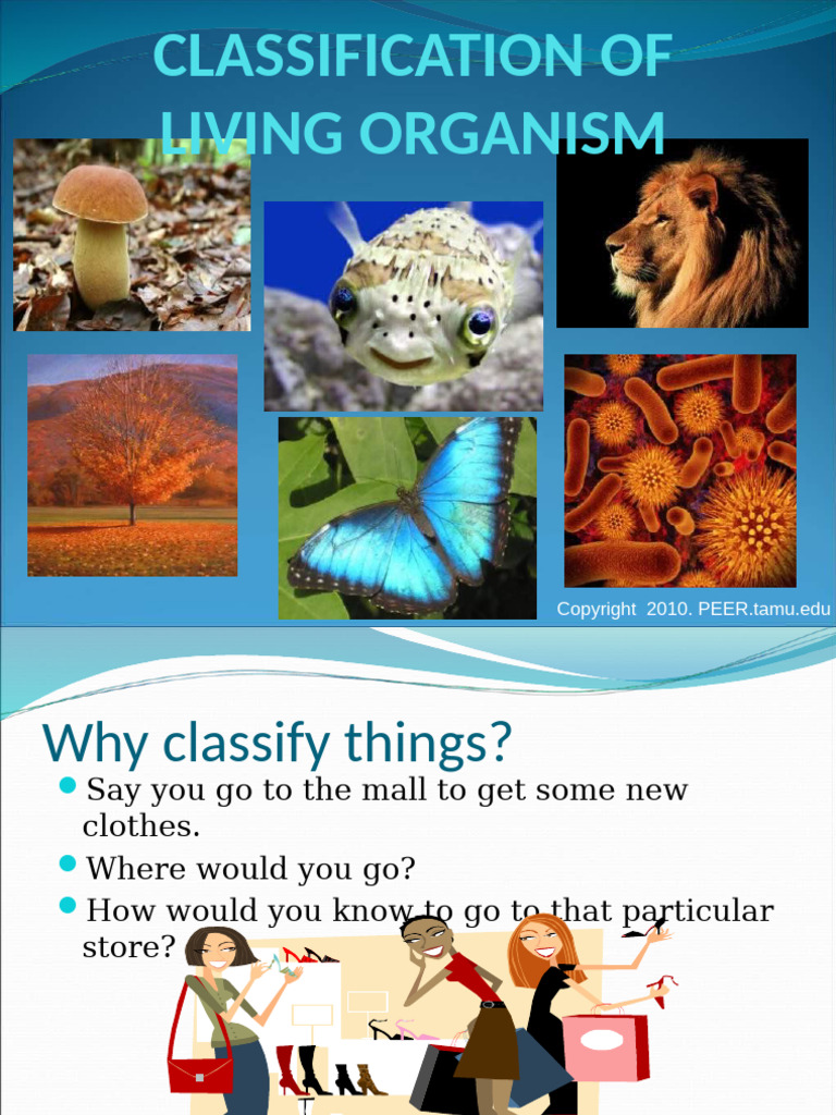 The Classification of Living Organisms | PDF | Archaea | Eukaryotes