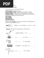 Y8 Science Collin Workbook | PDF