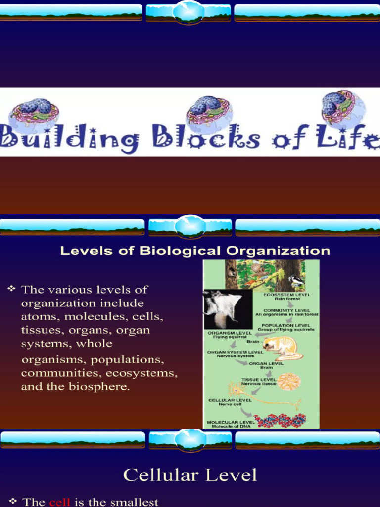 Organization Level | PDF