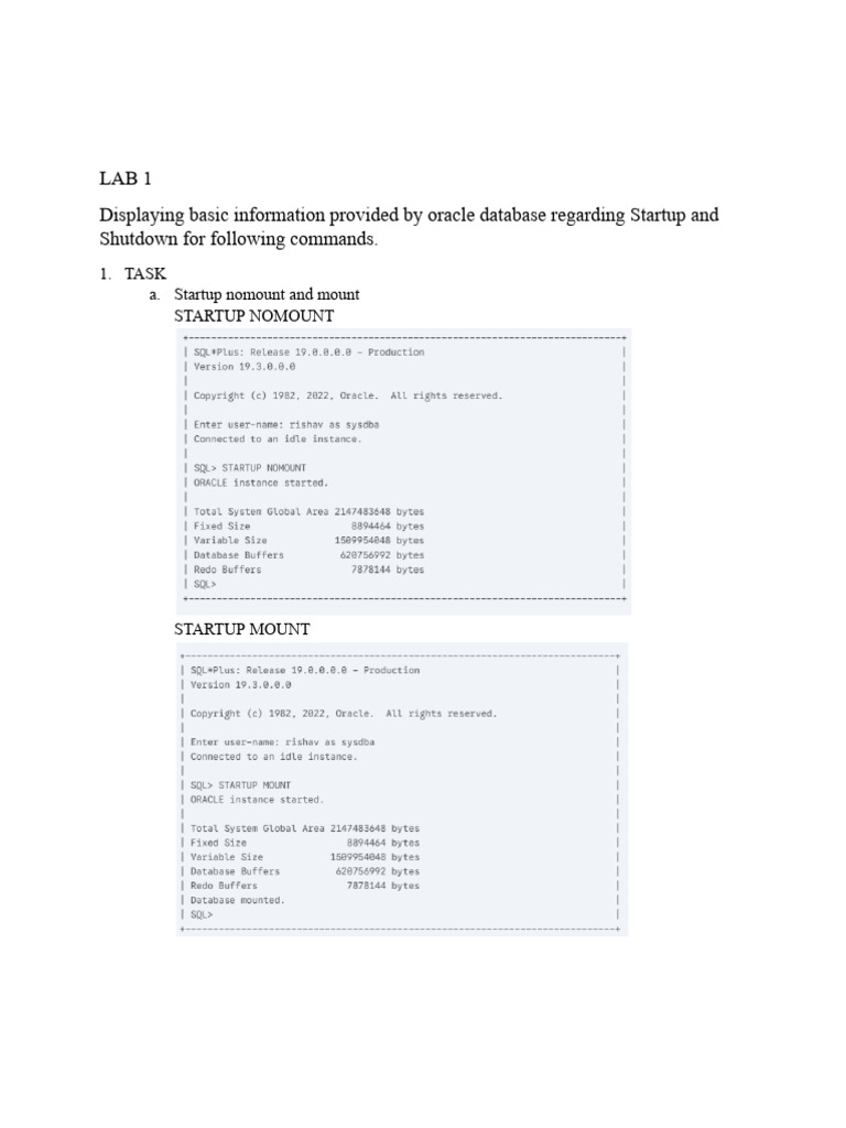 DBA Lab report | PDF | Databases | Data Management