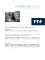 Download Tanaman Kehutanan Meranti by VeCk MLf SN89645354 doc pdf