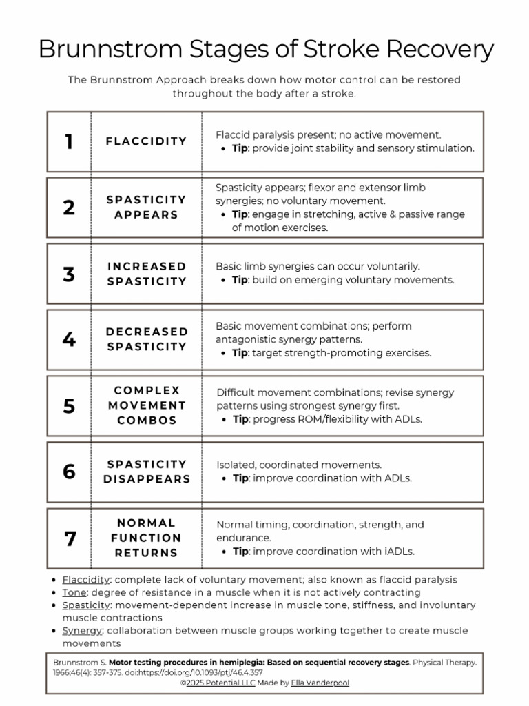 Brunnstrom Handout (B&W) | PDF