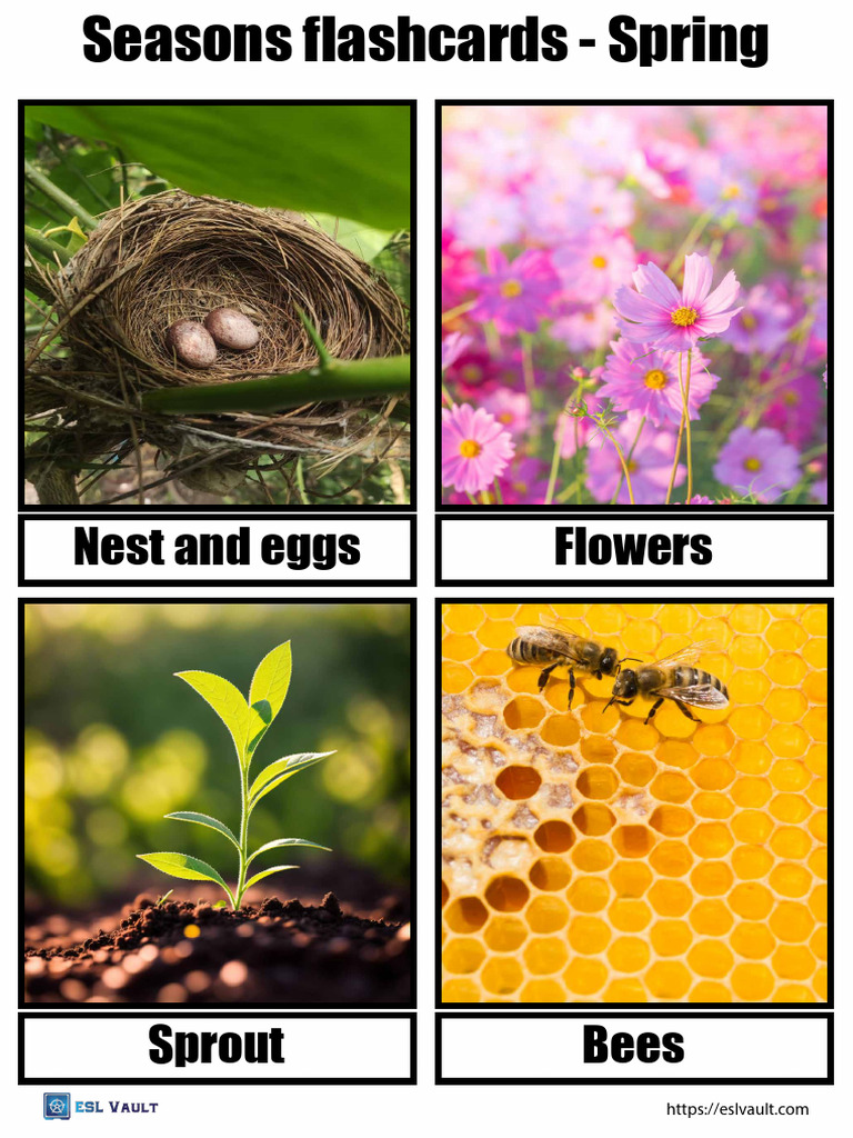 Seasons Flashcards Spring | PDF