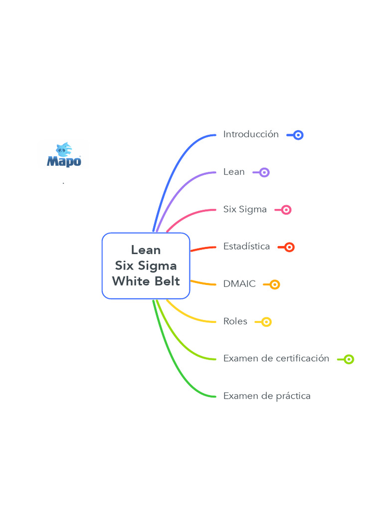 Guía Lean Six Sigma White Belt | PDF