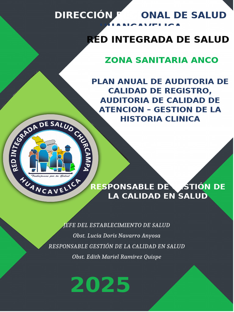 Plan Anual de Auditoría en Salud 2025 | PDF | Auditoría | Calidad ...