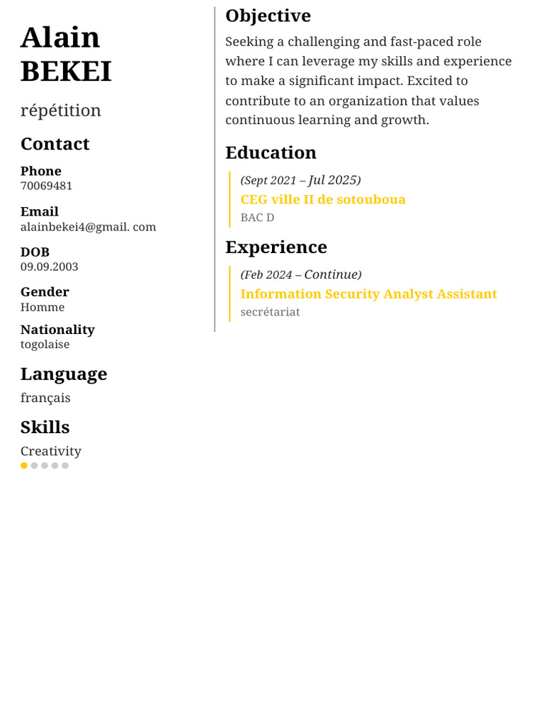 Alain Resume 679 | PDF