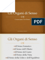 Gli Organi Di Senso