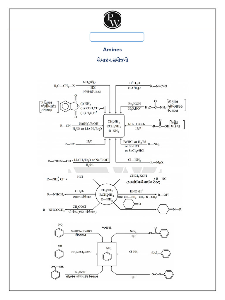 Amines Short Notes | PDF