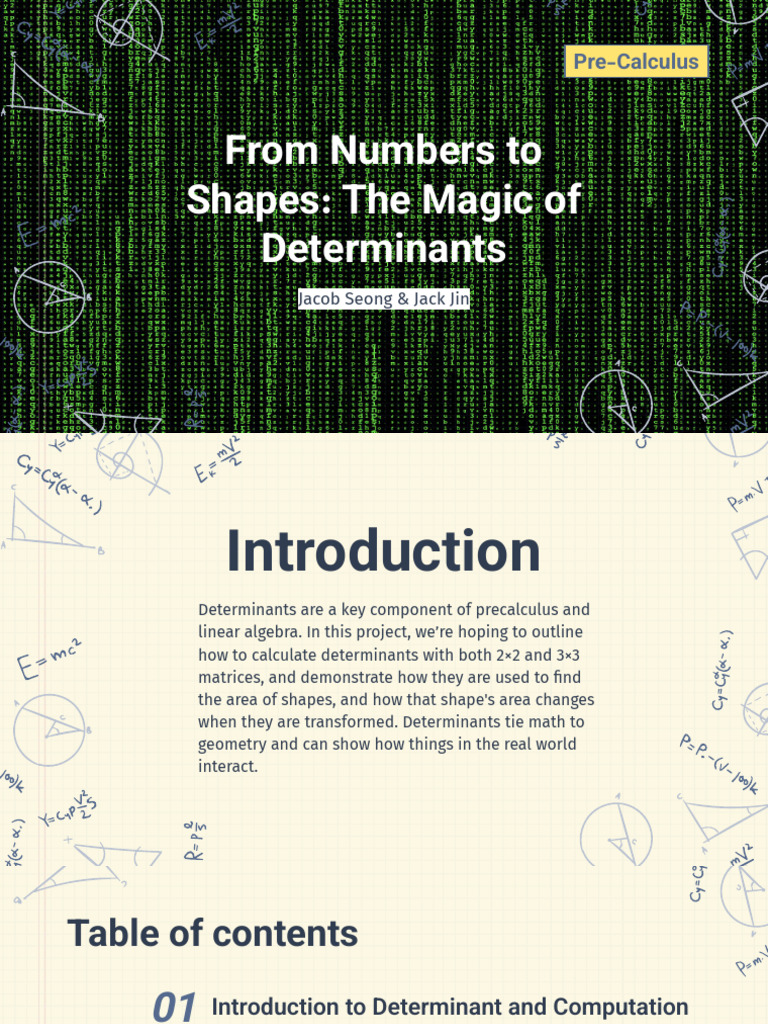 Understanding Determinants in Geometry | PDF | Determinant | Matrix ...