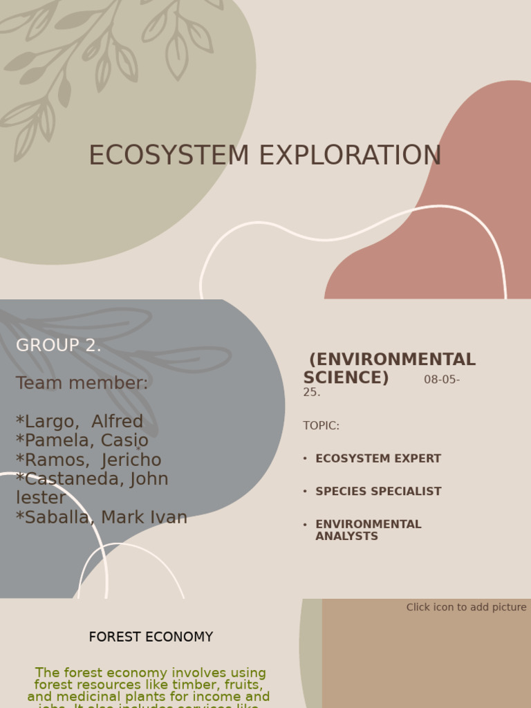 Forest Ecosystem Exploration Overview | PDF | Ecosystem | Plants