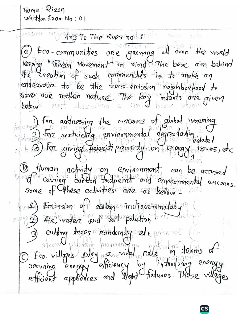 Exam 1 - Rizon | PDF