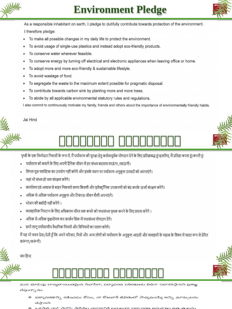 Pledge | PDF