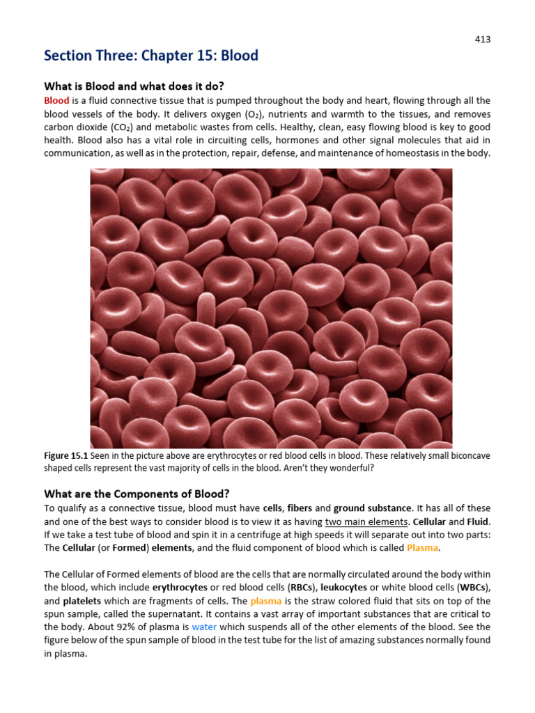 Understanding Blood Composition and Function | PDF | Red Blood Cell ...
