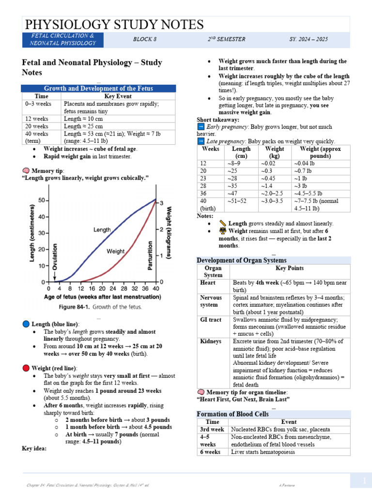 Fetal and Neonatal Physiology Overview | PDF | Circulatory System | Fetus