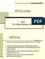 Partus Lama