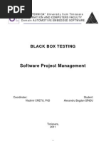 Black Box Testing