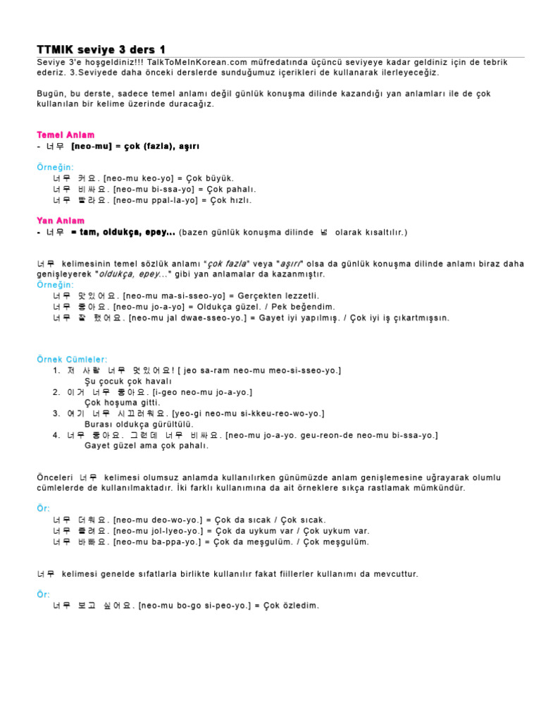 TTMIK Seviye 3 | PDF