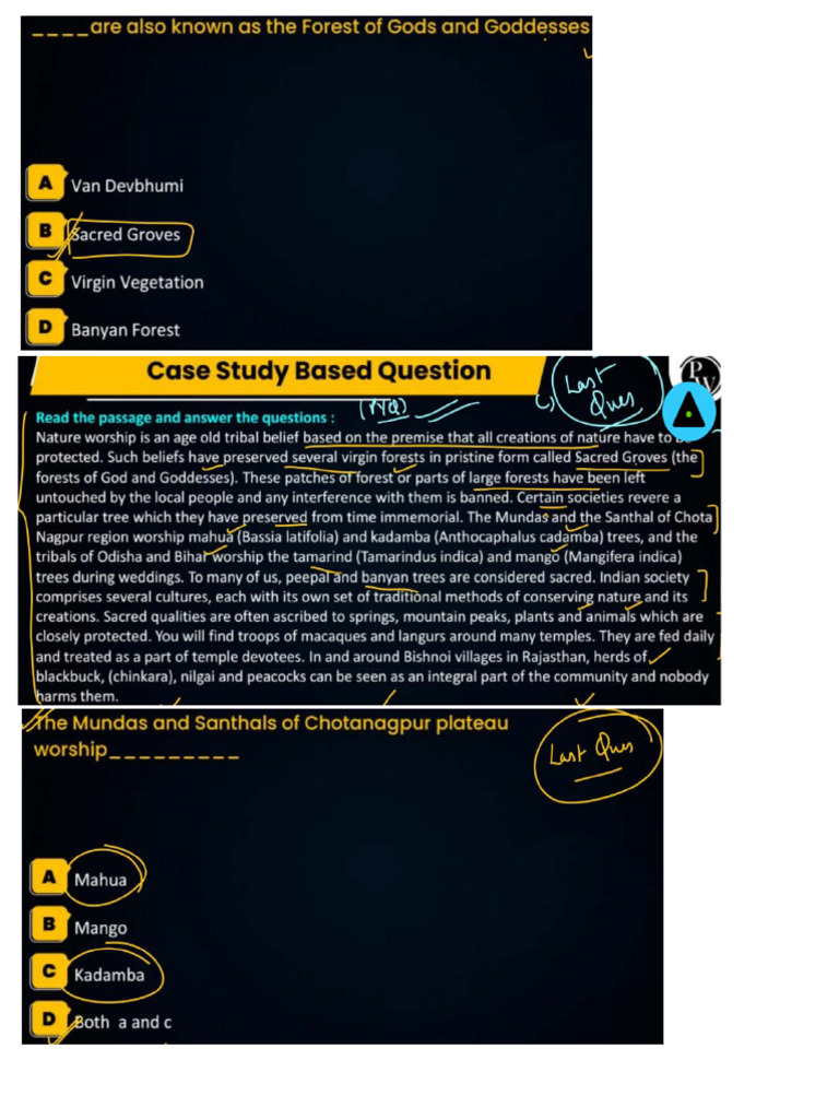 Eco Imp | PDF