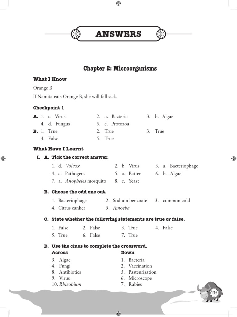 Grade 8 Microorganisms Overview | PDF | Microorganism | Bacteria