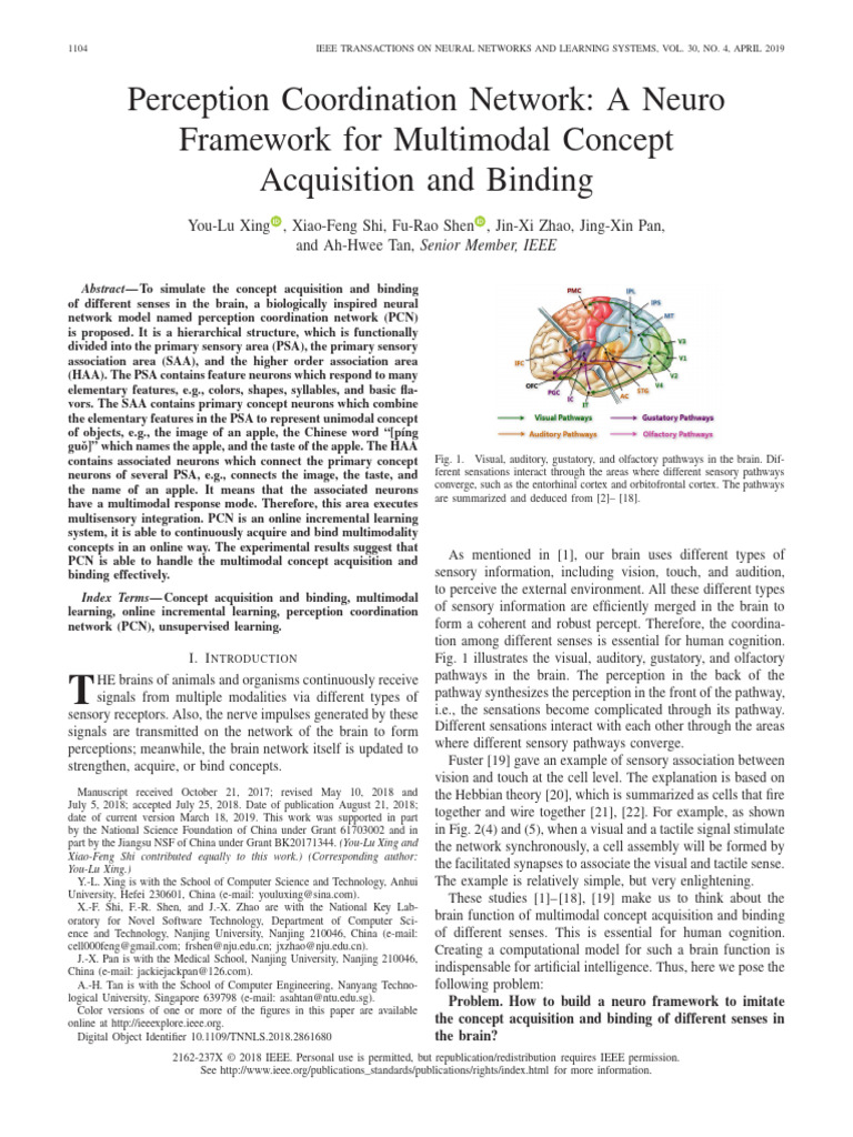 Neuro Framework for Multimodal Learning | PDF | Visual Cortex | Senses