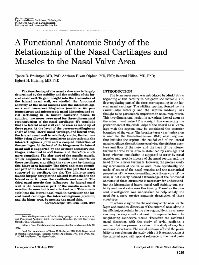 Nasal Cartilage and Valve Anatomy Study | PDF | Human Nose | Human Head ...