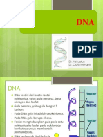 Kerusakan Dan Perbaikan DNA