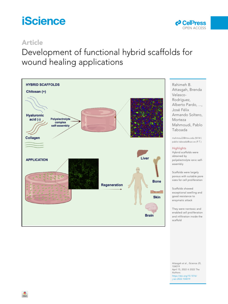 Development of Functional Hybrid Scaffolds For Wound Healing ...