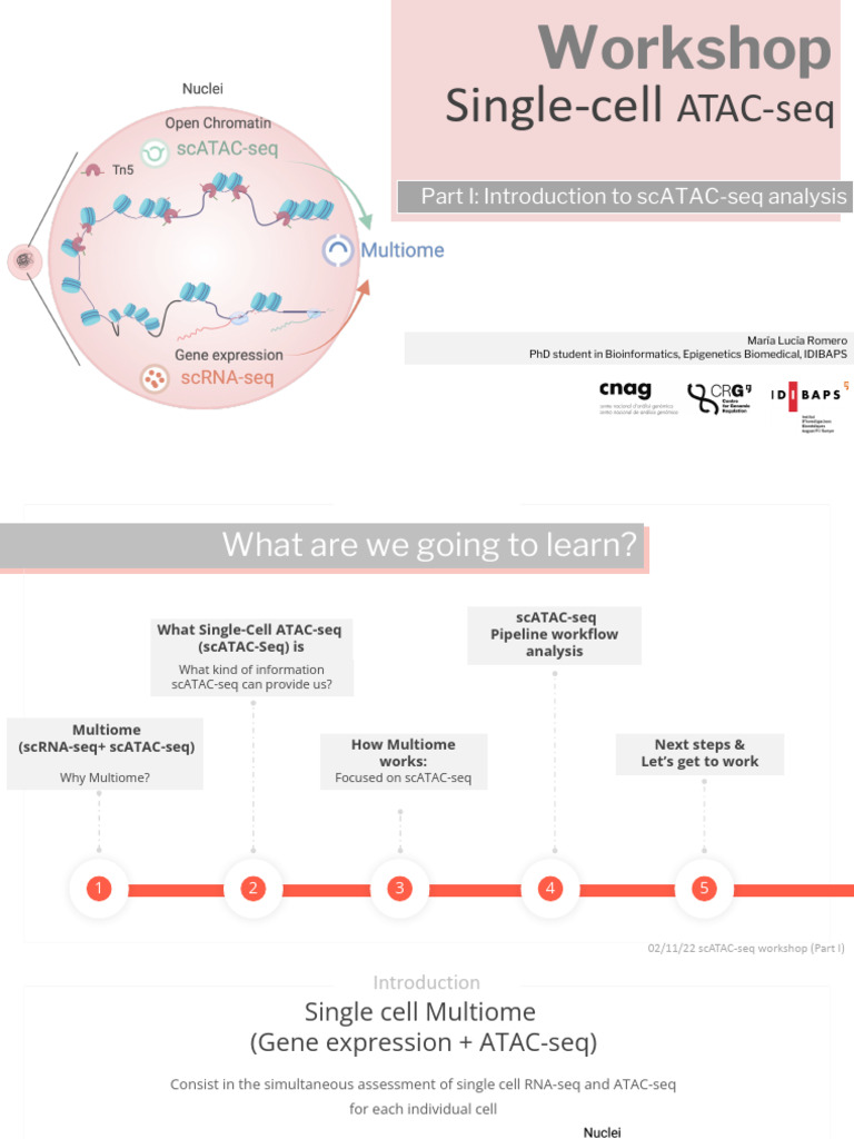 Introduction to Single-Cell ATAC-seq | PDF | Cellular Differentiation ...