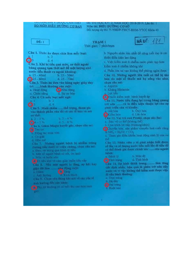 Đề 181 - k43 | PDF