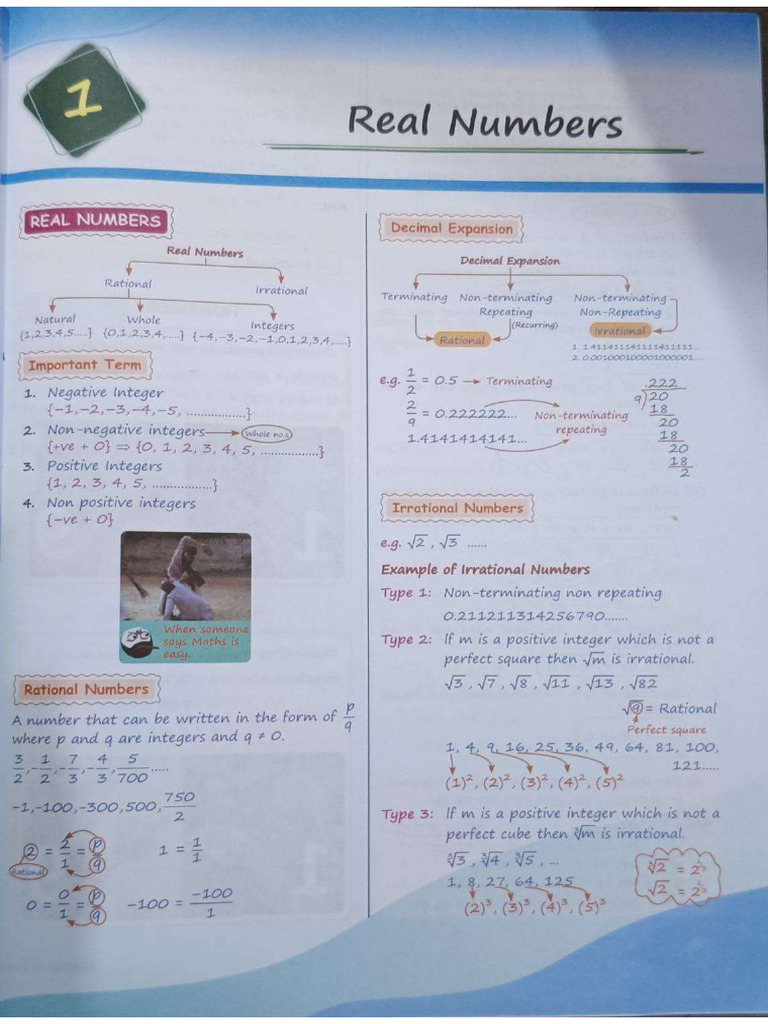 Class 10 Ritik Sir CH 1 Handwritten Notes | PDF