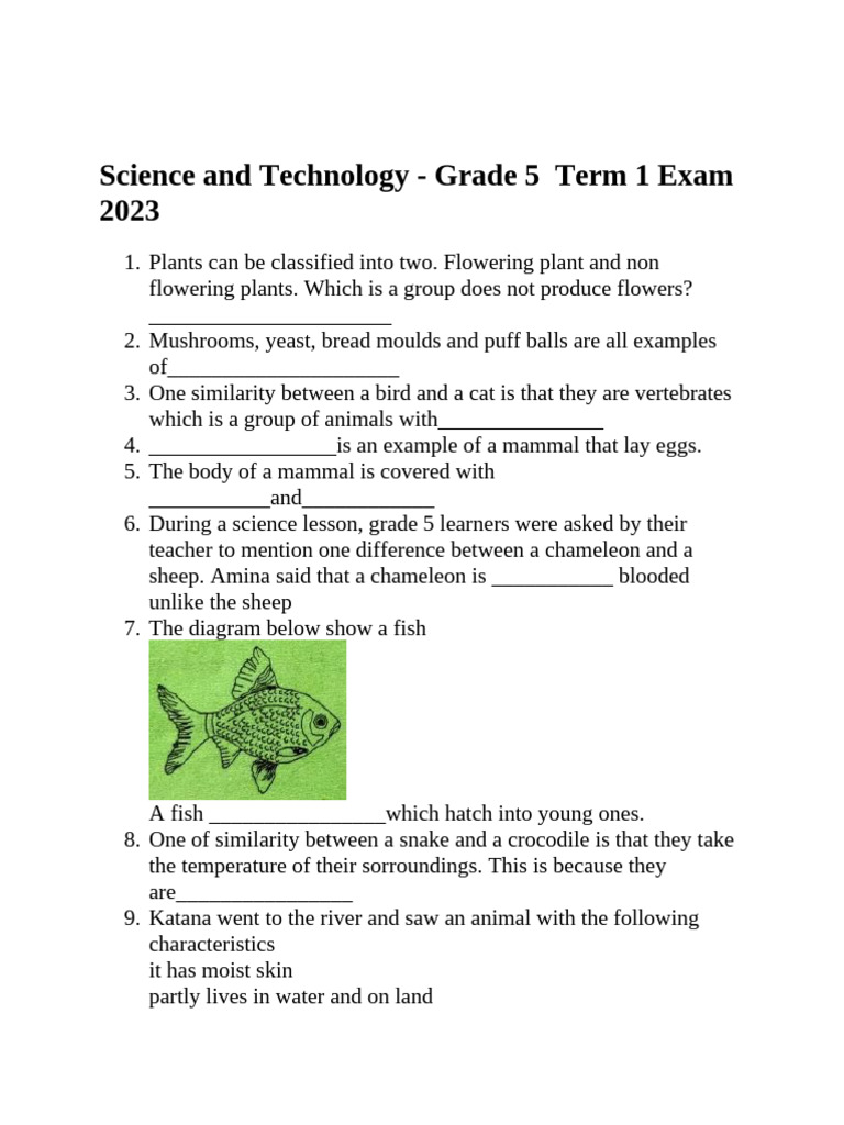 Grade 5 Science & Technology Exam Term 1 | PDF