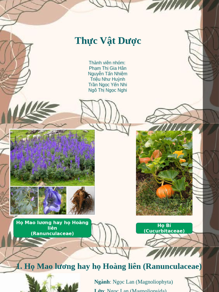 Bản trình bày | PDF