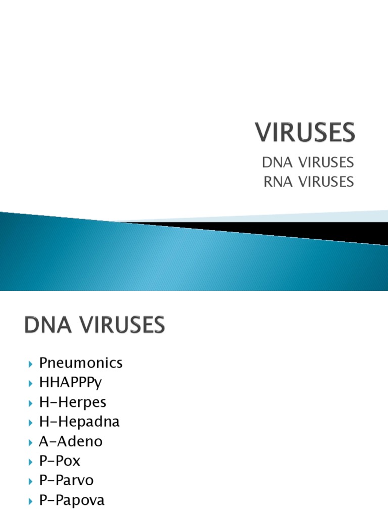 Overview of DNA and RNA Viruses | PDF