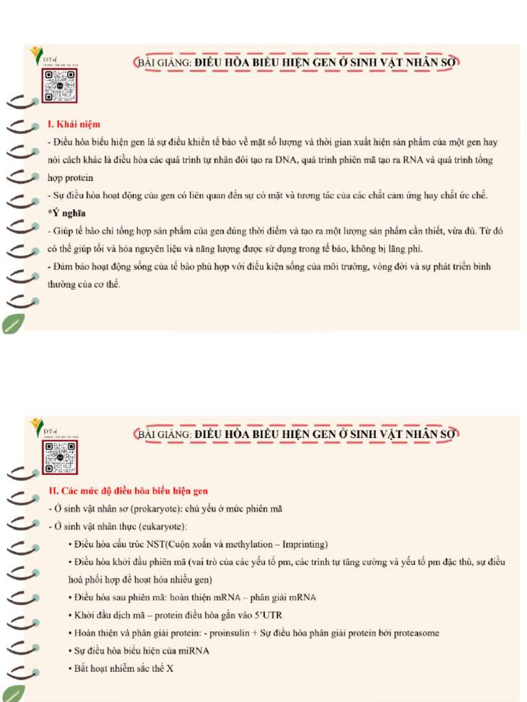Phân T Dted | PDF