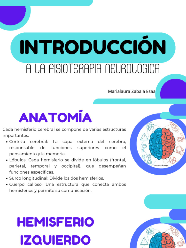 Anatomía y Funciones del Cerebro | PDF | Hemisferio cerebral | Cerebro