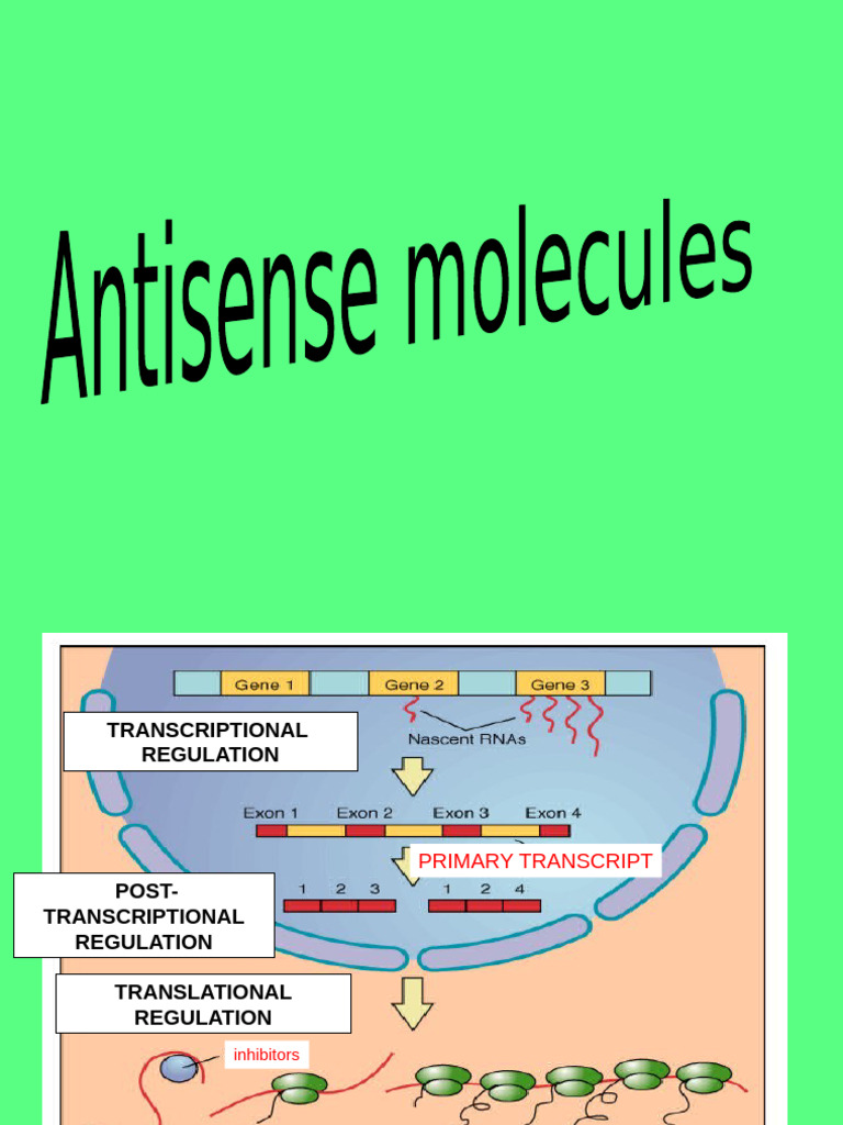 Antisense Oligonucleotides Overview | PDF | Oligonucleotide | Sense ...
