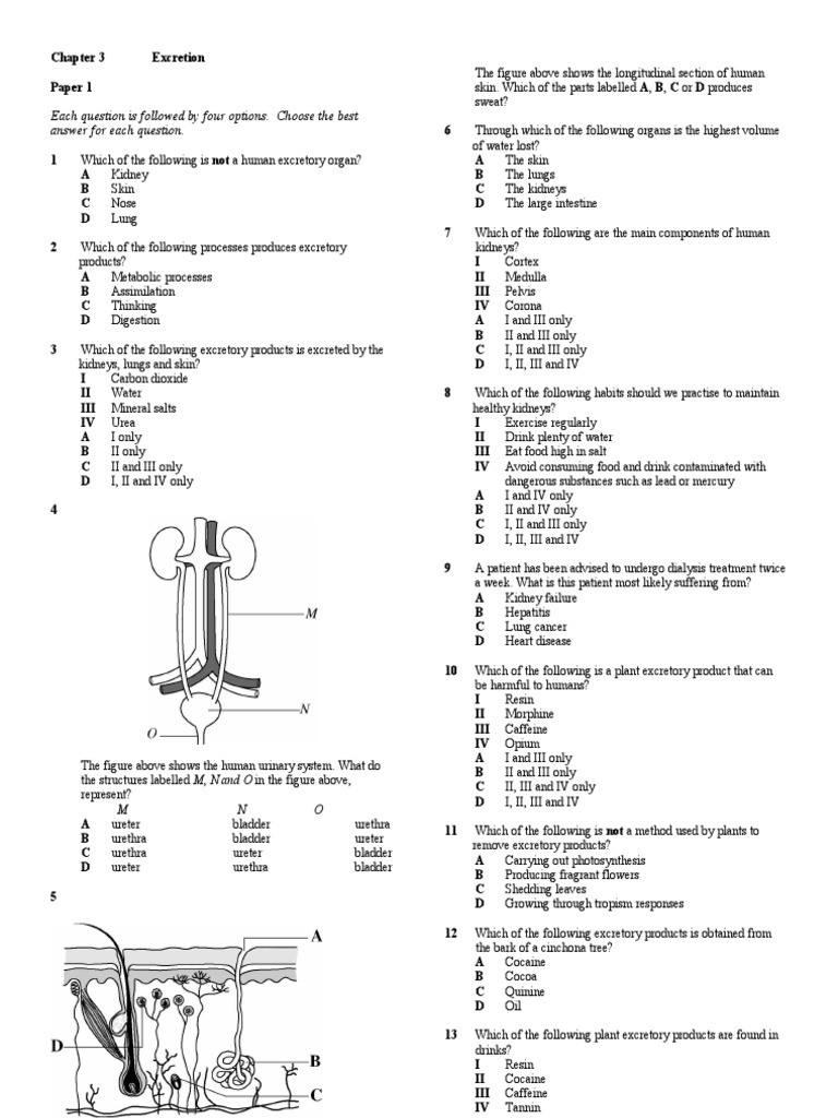 SC F3 - Chapter 3 | PDF | Excretion | Animal Physiology