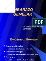EMBARAZO GEMELAR 07 (2)