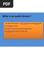 What Is An Audio Format