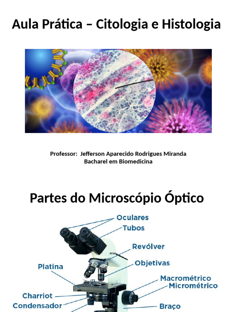 Aula Prática de Citologia e Histologia | PDF | Mitose | Osmose