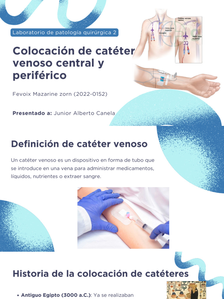 Guía sobre catéteres venosos centrales y periféricos | PDF | Terapia ...