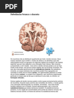 Substâncias branca e cinzenta