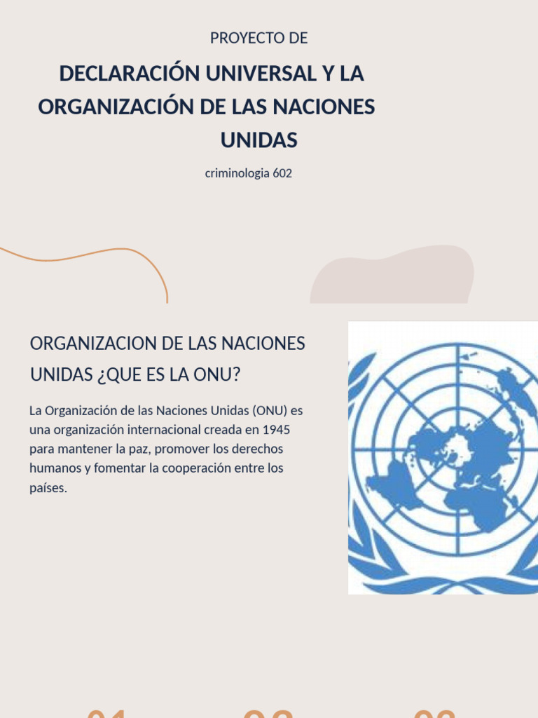 Declaración Universal y La Organización de Las Naciones Unidas PDF | PDF