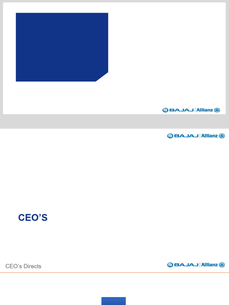 BAGIC Organizational Structure Overview | PDF | Underwriting | Internal ...