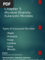 Fungi Observation in Bread and Fruit | PDF | Fungus | Staining