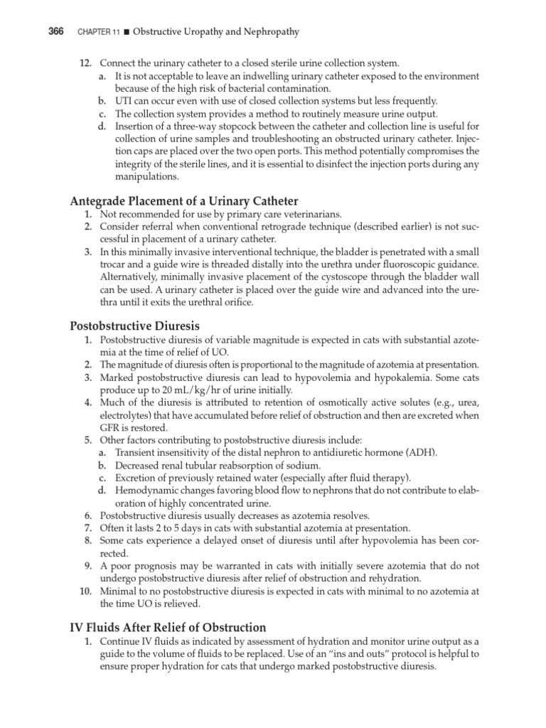 Uropathy Prevention In Cats High Humidity Homes Reference: Managing Obstructive Uropathy In Cats Pdf