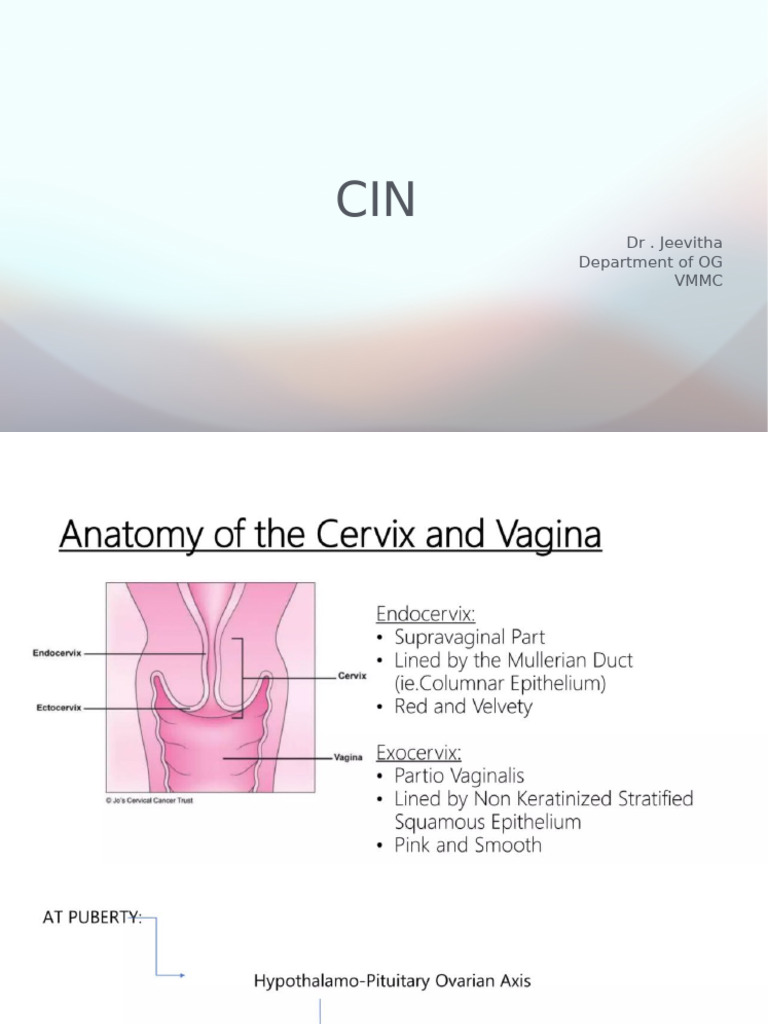 Presentation 12 | PDF
