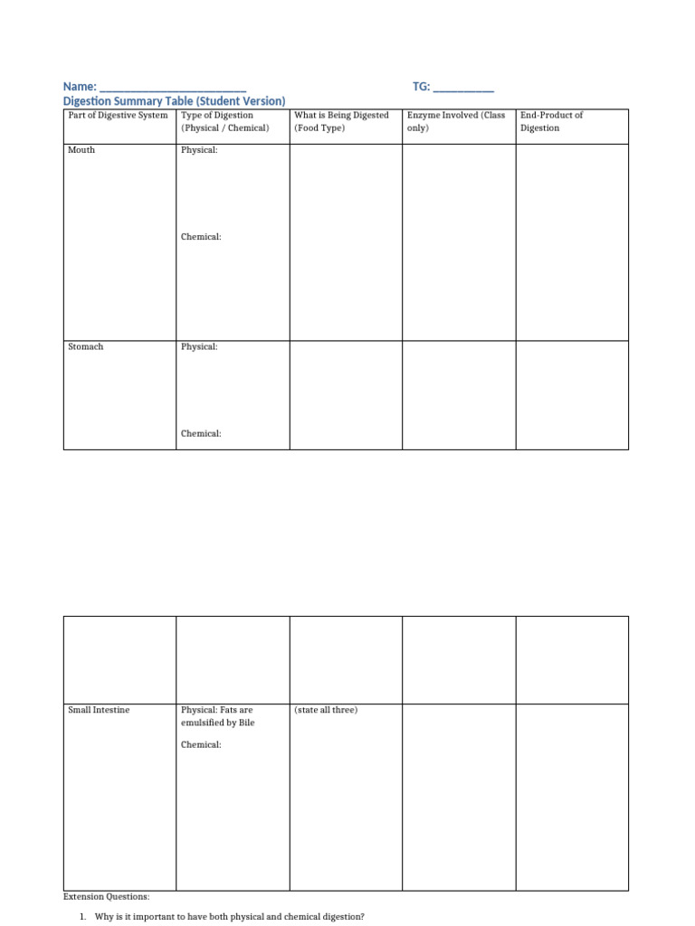 Digestive System Overview and Enzymes | PDF | Digestion | Biochemistry