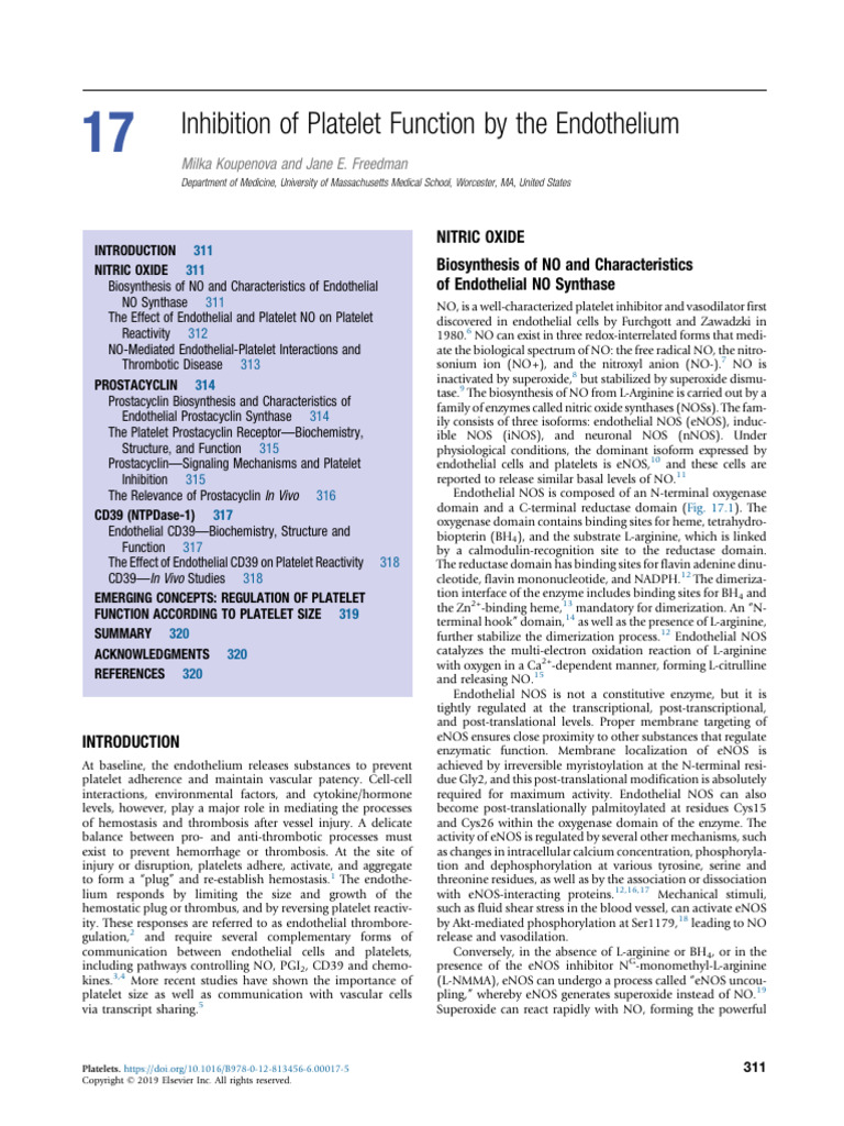 Inhibition of Platelet Function by The Endothelium | PDF | Nitric Oxide ...