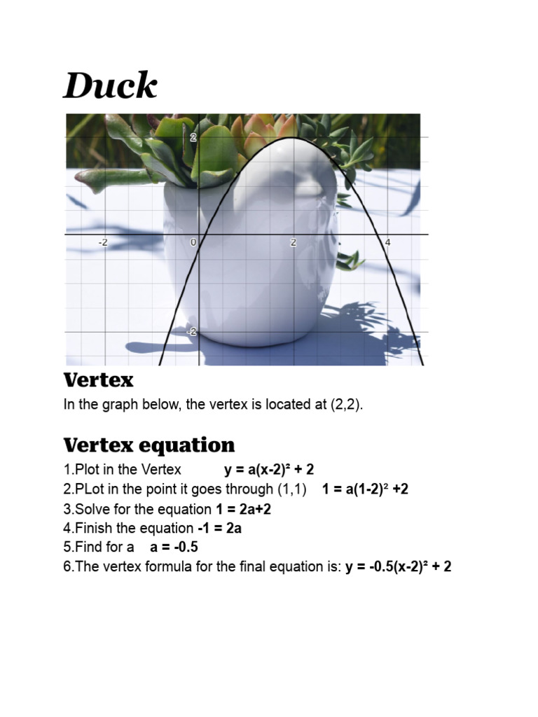 Math Final Project | PDF | Equations | Vertex (Graph Theory)